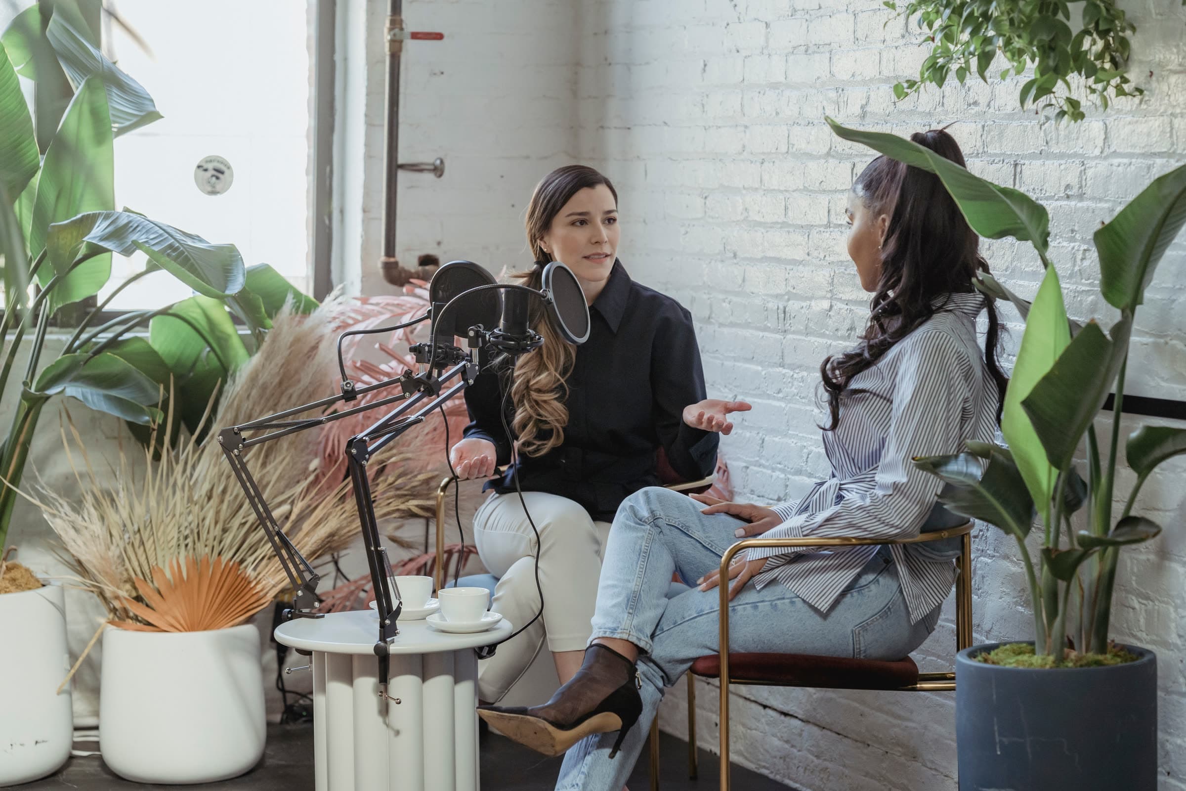 Two people talking at podcast mics in a bright, plant-filled studio